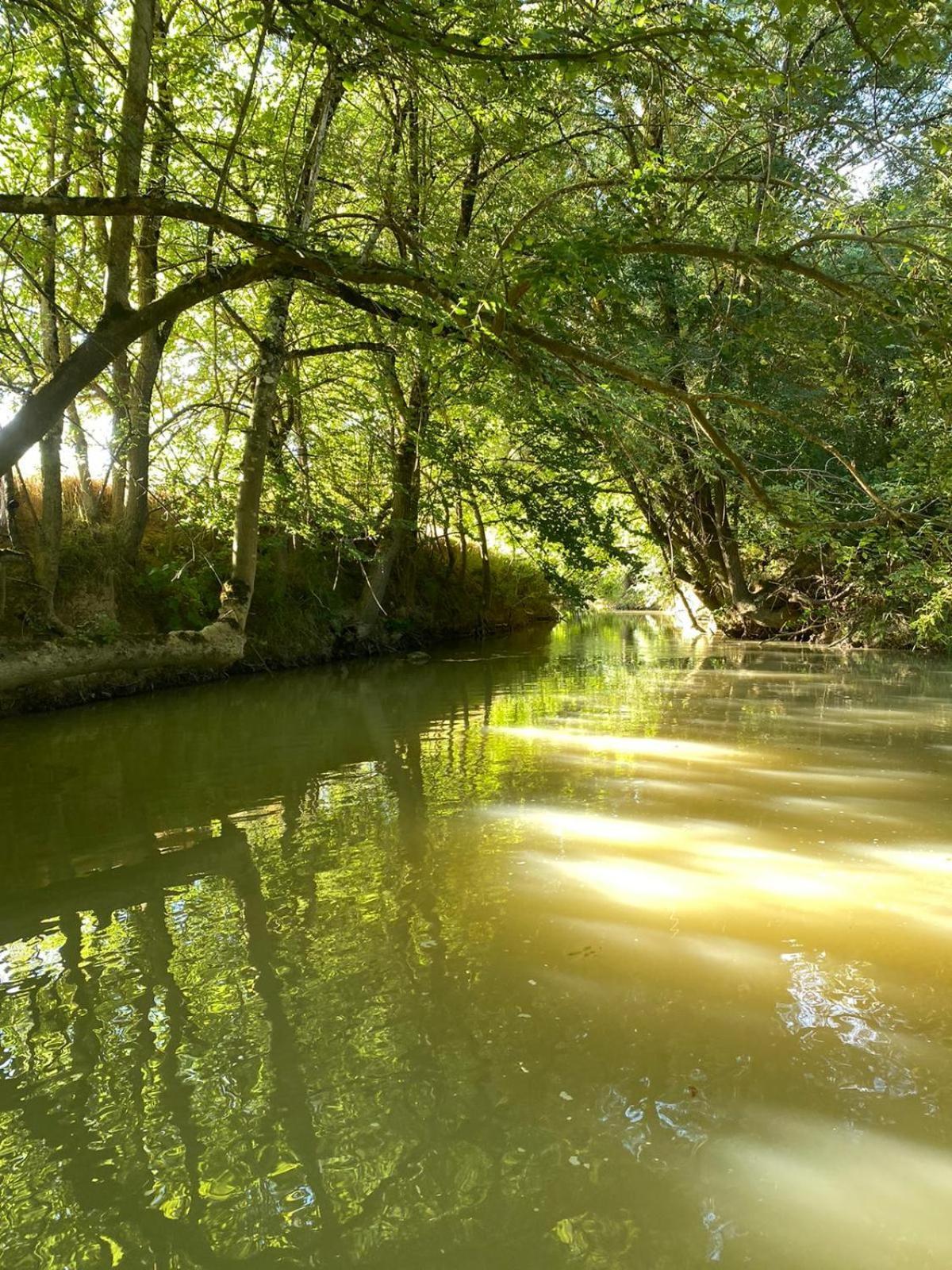 Gite Le Moulin Samsara Homps  Exteriér fotografie